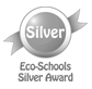 EcoSchools silver award