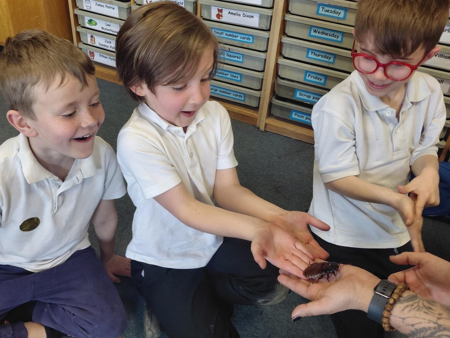 Y2 Zoolab Visit