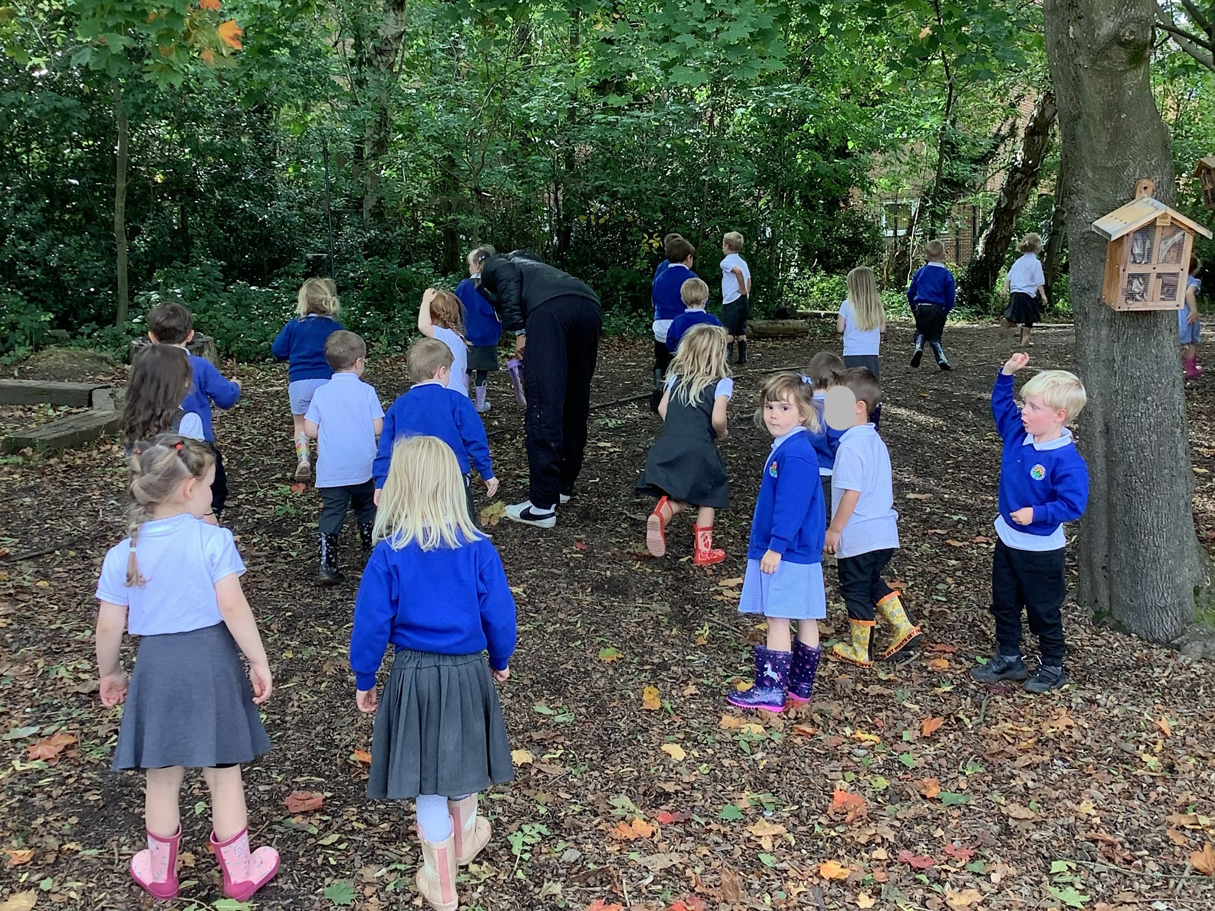 Forest school